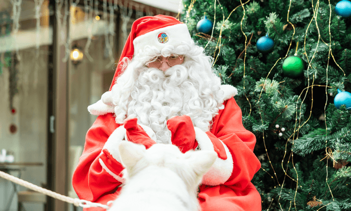 わんちゃんも喜ぶイベント