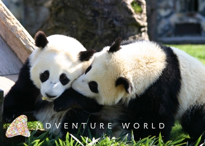 DRjOxHnHb76Pkc9OOG0Y.jpg?w=940&h=940