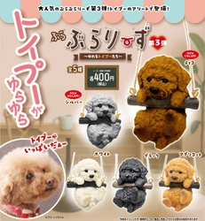 TikTok再生22万回突破！　カプセルトイ「ぶらぶらりーず」第3弾決定。トイプー推しの夢叶う