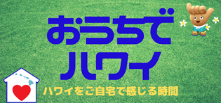 DSDSvgZkvh9sSeTJnMy0.png?w=940&h=940