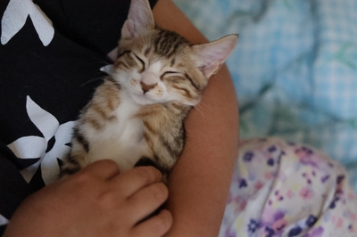 DSlJ0YesQPGuzyKsrRmQ.jpeg?w=940&h=940