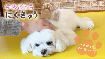 DT8scRsG4EyOqaF5Q0Po.jpg?w=940&h=940