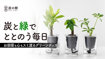 土の代わりに炭で育つ新感覚グリーン「炭の樹」 6月16日から先行発売！手間が少ない独自の給水構造