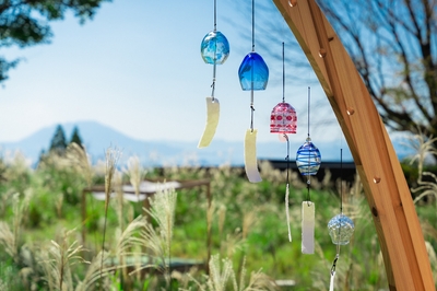 DV5DHjeAzFbYfJMkB1dR.jpg?w=940&h=940