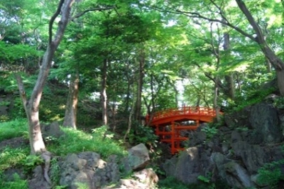 DWFXYmLcHs32p8f5ijpV.jpg?w=940&h=940