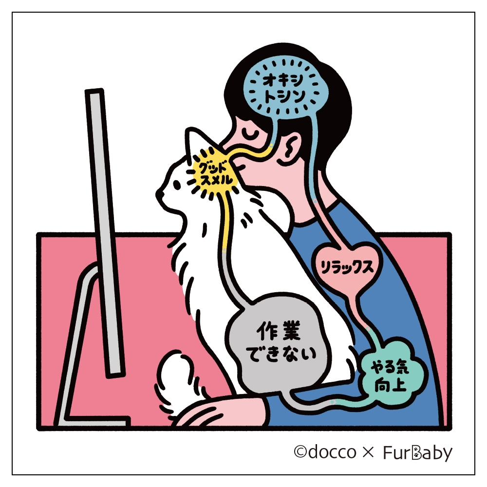 人が猫を吸うとどうなるの…?『 猫吸い 』でテレワーク中に猫の幸せ無限