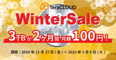 TeraCLOUD WINTER SALE!