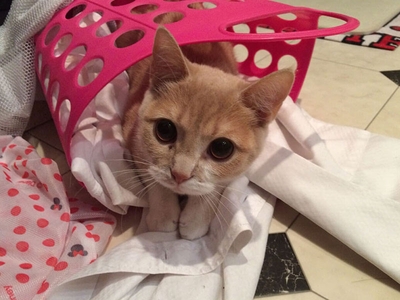 DXNl8lJAmWERatPUQ5Np.jpeg?w=940&h=940