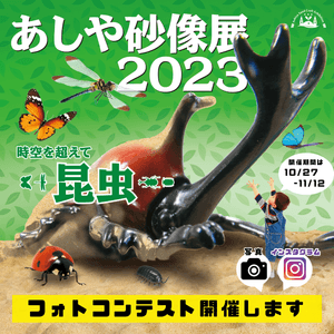 DXS8ScmTXOkhL9jzmk2o.png?w=940&h=940