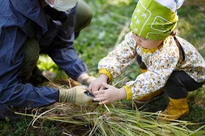 DY81QdGdiIweSPVGwpyC.jpeg?w=940&h=940