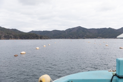 DYJi5E0HpfT8zEK7lbx8.jpg?w=940&h=940