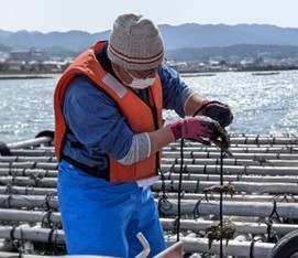 Daehe0mydj1q7J0i7Wkk.jpg?w=940&h=940