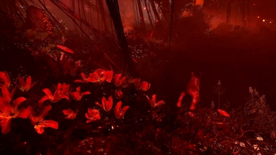 Dahm0vkns63g253IjGct.jpg?w=940&h=940