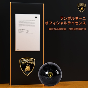 ランボルギーニサッカーボール