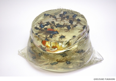 《初出荷 出目金》　2009年