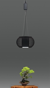 サイリウムペンダントライト