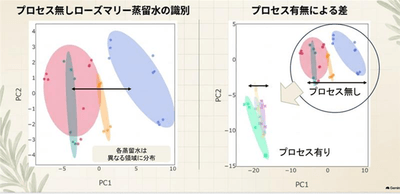 DfU65UKsR82yqZqbykpc.png?w=940&h=940
