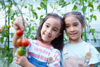 DfxNhsuHJNGpzbXmSn4z.jpg?w=940&h=940