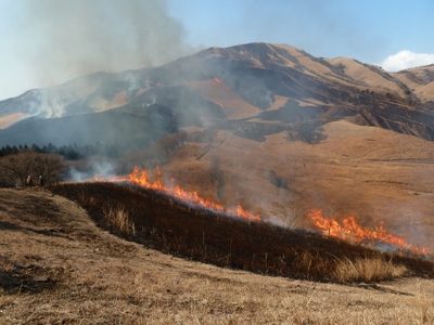 DgBOK4J6TZ1AOgAdlvLR.jpg?w=940&h=940