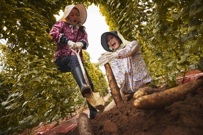 Dhve2EHcn5ZjAODpRWNq.jpg?w=940&h=940