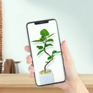 DiVP9fSrXYXzNkYRnZie.jpg?w=940&h=940