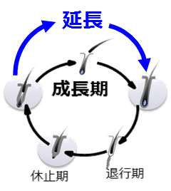 DijgEmEAH8BK4toR96kG.png?w=940&h=940