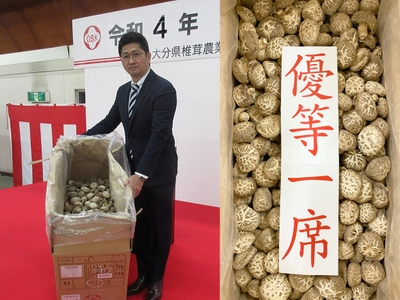 DiwoaJgxM3TGCsUOCb23.jpg?w=940&h=940