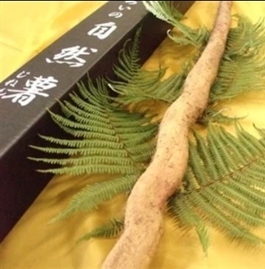 DjR2ZxdJe84NNORZflcQ.jpeg?w=940&h=940