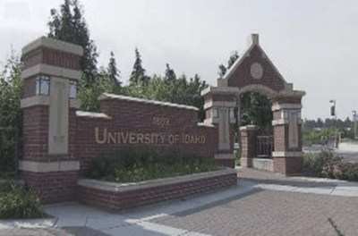 DkARVpzdXu2Aql7XOfyd.png?w=940&h=940