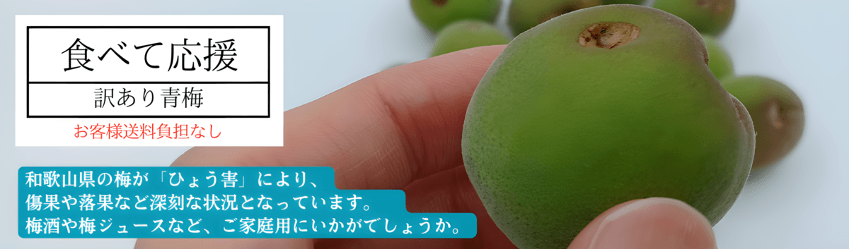 ひょう害の影響を受けた和歌山の青梅を応援！ ＪＡタウンで「和歌山の青梅　食べて応援企画」を実施