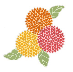 DkRQN16Yc7Xum21dbPrU.png?w=940&h=940