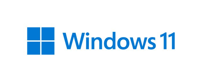 Windows 11