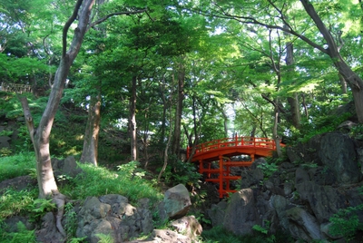 DnQLA6zgreyQxLuW8ylh.jpg?w=940&h=940