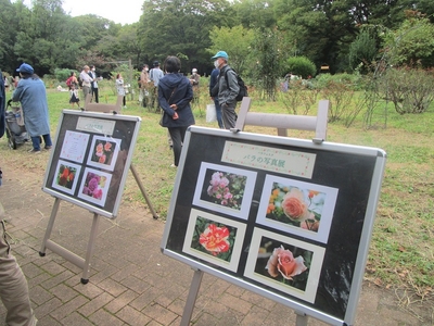 DoxXIyQCgH700BmgFoin.jpg?w=940&h=940