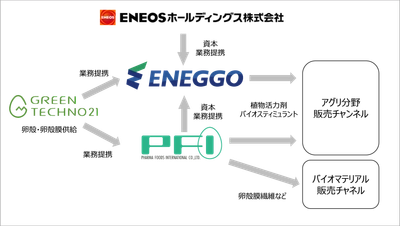 タマゴの薄膜(卵殻膜)で新市場創出　ＥＮＥＯＳホールディングスと共同出資でCO2削減と循環型社会の実現を目指す