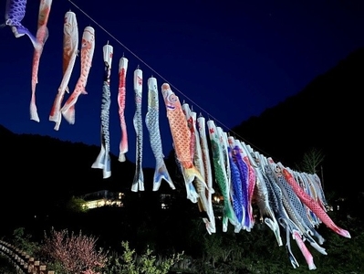 DqPnqBjC0wyrqm97Pfhg.jpeg?w=940&h=940