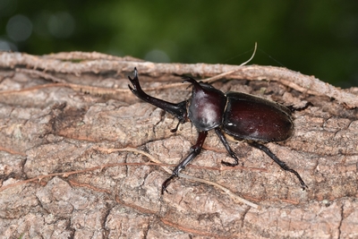 Dr4FQ9JIDtwbWdMXFLkZ.JPG?w=940&h=940