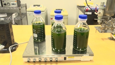 DrqUUnFlX0kJJ0jGZoco.jpg?w=940&h=940