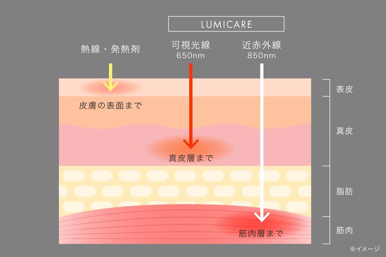 筋肉層まで届く近赤外線