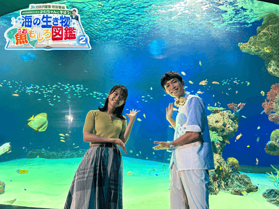 DspWUkmMyboDQQwK4j07.png?w=940&h=940