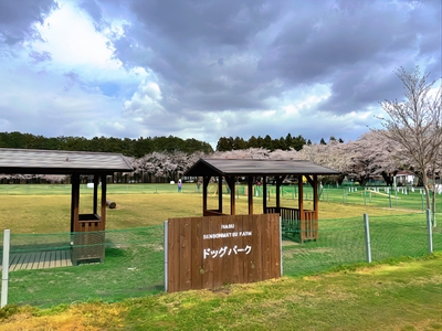 DwEnR30FW6Qc1aAWlx2Q.jpg?w=940&h=940