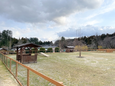 DxCg7TDZVMFD6kx1TmTZ.jpg?w=940&h=940