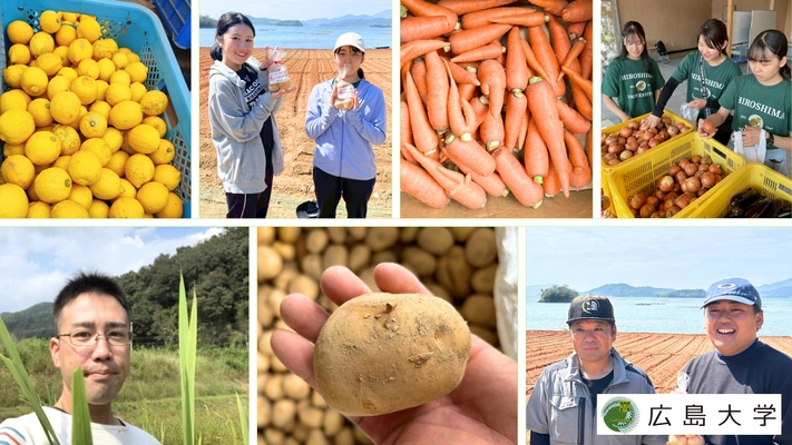 広島大学、規格外農産物を活用した学生支援プロジェクトを始動 〜食と農の循環で地域と学生をつなぐ新たな取り組み〜