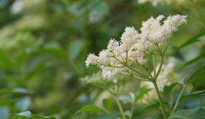 Dy6UlVXcHs2JGcOGB3z1.jpeg?w=940&h=940