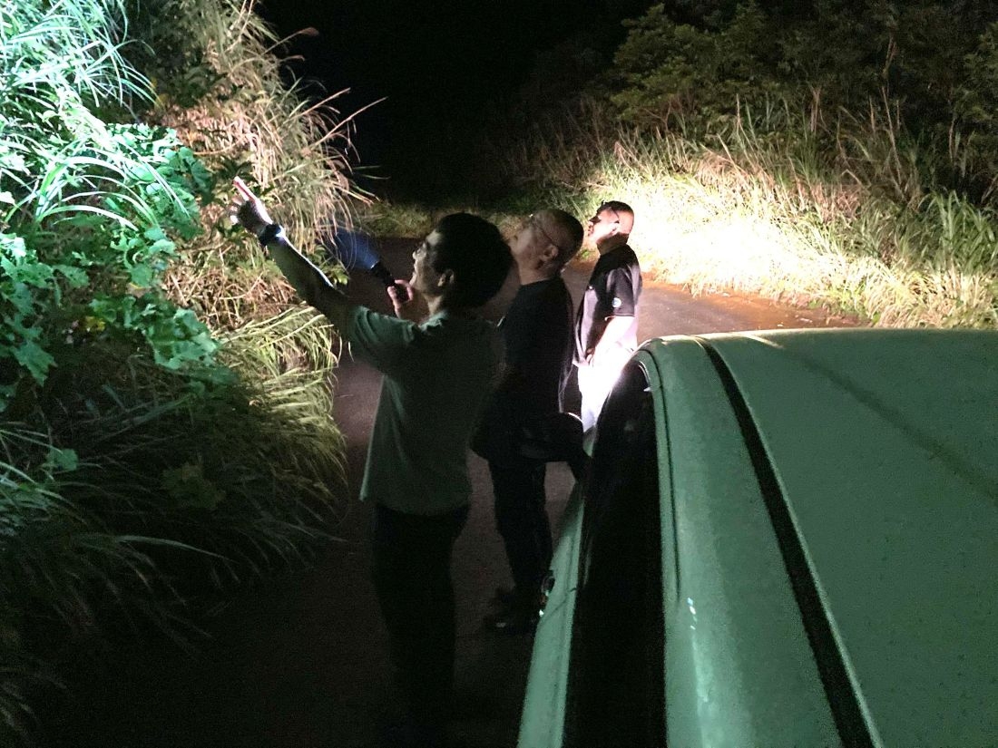 アマミノクロウサギが逃げた方向を確認する辻特担教授ら(昨年12月)