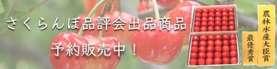 山形県さくらんぼ品評会受賞商品を限定販売 | NEWSCAST