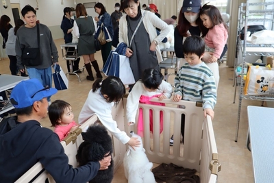 実習犬たちと触れ合う子どもたち