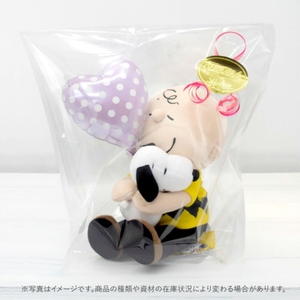 ラッピングイメージ　一例