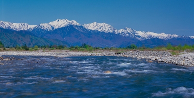 E3llONQRXy23TYTUnNjg.jpg?w=940&h=940