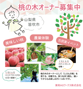 E3qUlVXNnQtc5sQmqusQ.png?w=940&h=940